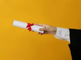 diploma superior