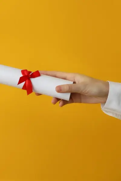 diploma superior