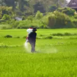 herbicida sendo aplicado